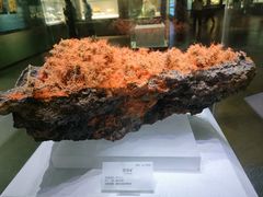 -湖南省地质博物馆