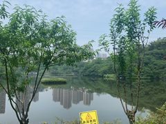 -重庆彩云湖湿地公园