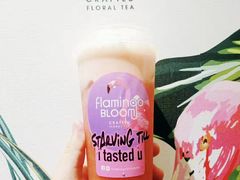 -Flamingo Bloom(TST /尖沙咀店)