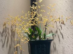 -31号公馆(黄兴广场白果园店)