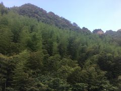 -藏龙百瀑漂流