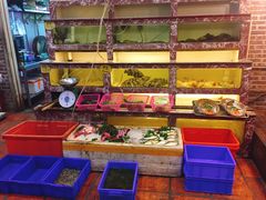 -百年银屏蚝烙·潮汕菜·非遗(乐山店)