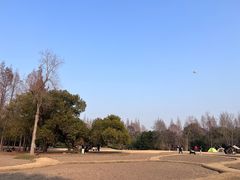 -上海滨江森林公园