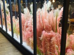-拈菜(观音桥阳光世纪店)