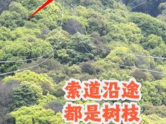 -衢州大荫山丛林飞越探险乐园