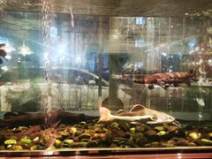-衡山汇·高级粤菜(霄云路店)