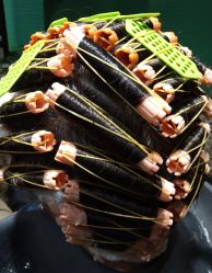 烫染-木北护肤造型