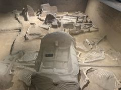 -洛阳周王城天子驾六博物馆