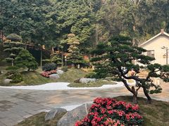 -都江堰普照寺