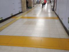 -大望路(地铁站)