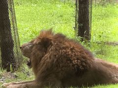 -秦皇岛野生动物园