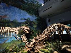 -自贡恐龙博物馆