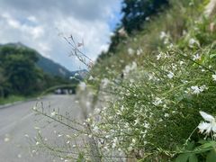 -昆嵛山石门里景区