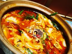 -杨氏青龙虾·羊蝎子(金盛路总店)