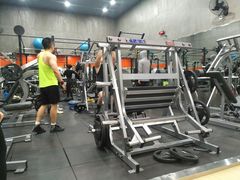 -健身专家Wellness Experts