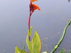 -眉山湿地公园(东坡区)