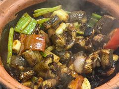 啫啫黄鳝-天宝食坊·啫啫煲大排档(西华路店)