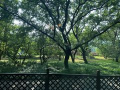 -国家植物园南园