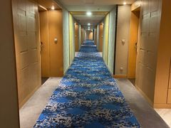 -上海虹桥西郊假日酒店