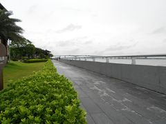 -大湾区中央湿地公园