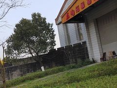 -铁山坪森林公园