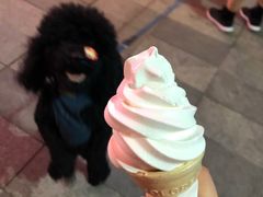 -法贝滋动物奶油蛋糕(广益哥伦布店)