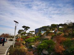 -罗红摄影艺术馆