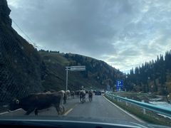 -新疆那拉提国家旅游度假区