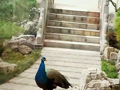 -舜耕山庄四时万和自助餐厅