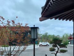 -唐御宴•御宴宫•唐代菜点(芙蓉西路店)