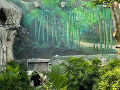 -石排湾郊野公园
