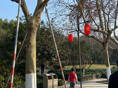 -杭州黄龙洞