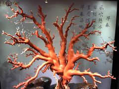 -绮丽珊瑚(台北101旗舰门市店)