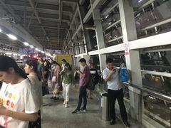 -龙眠大道(地铁站)