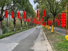 -上海海湾国家森林公园