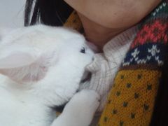 -伟伟宠物医院·CT影像中心·瑞派犬猫综合性门诊(汉口总院)