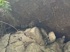 -秦岭终南山世界地质公园翠华山景区