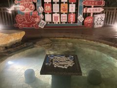 -天目湖涵田半山温泉