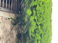 -锦记糕点铺