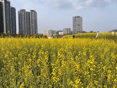 -光明小镇欢乐田园