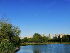 -河南工业大学(莲花街校区)