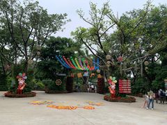 -广州长隆飞鸟乐园
