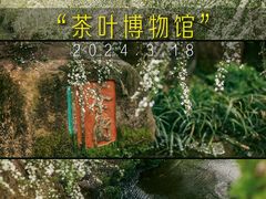 -中国茶叶博物馆(双峰馆区)