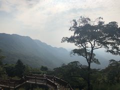 -广州市石门国家森林公园