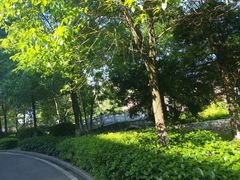 -宜春明月山维景国际温泉度假酒店