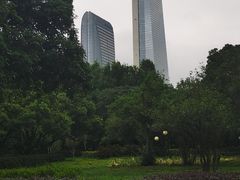 -荔香公园