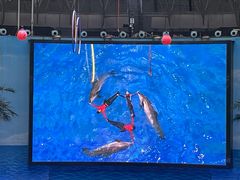 -海合安成都极地海洋公园