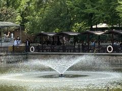-尚庄度假村·庭台树下·户外烧烤·团建CS·轰趴营地(上庄水库店)