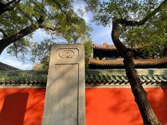 -北京国子监胡同