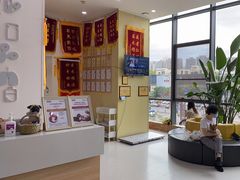 -谐和贝康宠物医院24小时·宠保定点(急重症转诊中心)